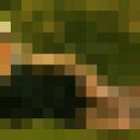  ,   , 49 ,   ,   , c 