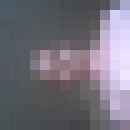  ,   , 31 ,     , c 