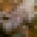  ,   , 27 ,     , c 