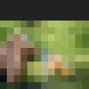 ���������� ���������, ���� ������� ������, 44 ����, ������������ ��� ����� � ���������, c�������� ���������