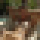 ���������� �����������, ���� ������� ������, 50 ���, ������������ ��� ������, ���������