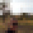 ���������� �����������, ���� ������� Isliam, 32 ����, ������������ ��� ������, ����� � ���������, c�������� ���������