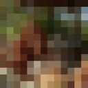  ,   , 19 ,   ,   , c , 