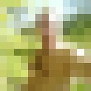  ,   Dima, 44 ,   ,   , c , 