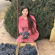 ���������� �����-���������, ���� ������� ������, 22 ����, ������������ ��� ������, ����� � ���������, c�������� ���������, ���������