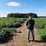 ���������� ����, ������� ������, 40