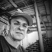  --,   Stipan, 41 ,   ,   , c 