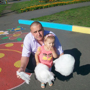  ,   , 38 ,   