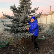 ���������� ������, ���� ������� �����, 57 ���, ������������ ��� ������, ����� � ���������, ���������