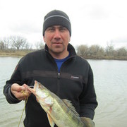   ,  andrey, 49