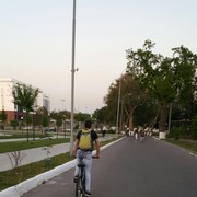 ���������� �������, ���� ������� ������, 38 ���, ������������ ��� ������, ����� � ���������, c�������� ���������