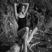  ,   , 26 ,  
