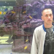 ���������� ����, ���� ������� �����, 36 ���, ������������ ��� ������, ����� � ���������, c�������� ���������