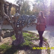 ���������� ����, ���� ������� ������, 35 ���, ������������ ��� ������, ����� � ���������, c�������� ���������