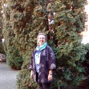   ,   , 58 ,   ,   , c 