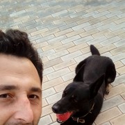 ���������� ������, ���� ������� �����, 41 ���, ������������ ��� ������, ����� � ���������, c�������� ���������