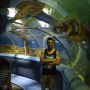 ���������� ���������, ���� ������� ������, 32 ����, ������������ 