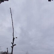 ���������� ������, ���� ������� �������, 45 ���, ������������ ��� ����� � ���������, c�������� ���������