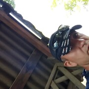 ���������� �����������, ���� ������� ����, 43 ����, ������������ 