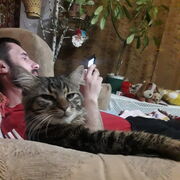 ���������� ��������, ���� ������� Jimi, 39 ���, ������������ ��� ������, ����� � ���������, c�������� ���������, ���������