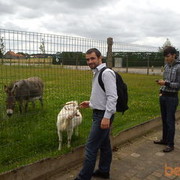  Antwerp,  Husein, 40