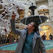 ���������� ������, ���� ������� �����, 42 ����, ������������ ��� ������, ����� � ���������, c�������� ���������