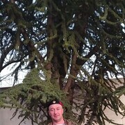  ,   , 43 ,     , c 