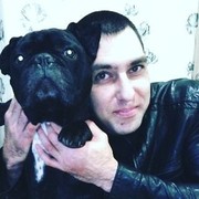   ,   , 41 ,   