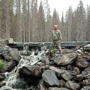 ���������� ����������, ������� ��������, 47