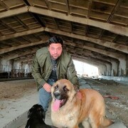 ���������� ���������, ���� ����� Tigran, 25 ���, ������������ ��� ������, ����� � ���������