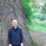  Rome,   Liviu, 65 ,   ,   