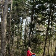 ���������� �����������, ���������