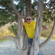 ���������� �������, ������� ��������, 64