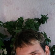  -,  , 40