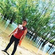  --,   , 38 ,   ,   