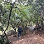  Or Yehuda,  , 40