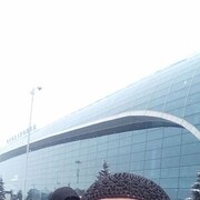 ���������� ������, ���� ������� �����, 38 ���, ������������ ��� ������, ����� � ���������