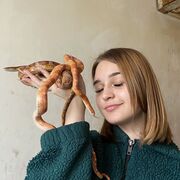 ���������� �����-���������, ���� ������� ��������, 21 ���, ������������ ��� ������, ����� � ���������