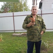  -,   , 65 ,   