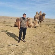 ���������� ��������, ���� ������� ����, 32 ����, ������������ ��� ������, ����� � ���������