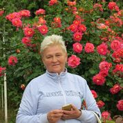 ���������� ��������, ���� ������� �����, 69 ���, ������������ ��� c�������� ���������, ���������