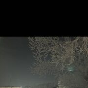 ���������� ����������, ���� ����� ���������, 20 ���, ������������ ��� c�������� ���������