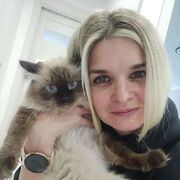 ���������� ������������, �����