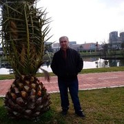  ,   Temuri, 53 ,   ,   , c 