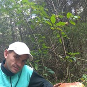 �������.