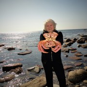  ,   Alisa, 60 ,     , c 