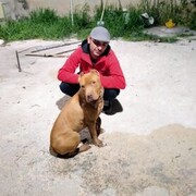 ���������� ������-��-����, ���� ������� ���, 28 ���, ������������ ��� ������, ����� � ���������