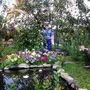 ���������� �������������, ���� ������� �������, 66 ���, ������������ ��� ������, ����� � ���������, c�������� ���������