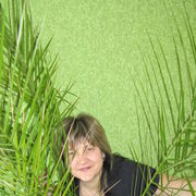 ���������� ����, ���� ������� ����, 56 ���, ������������ ��� ����� � ���������, c�������� ���������