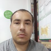  ,  , 29
